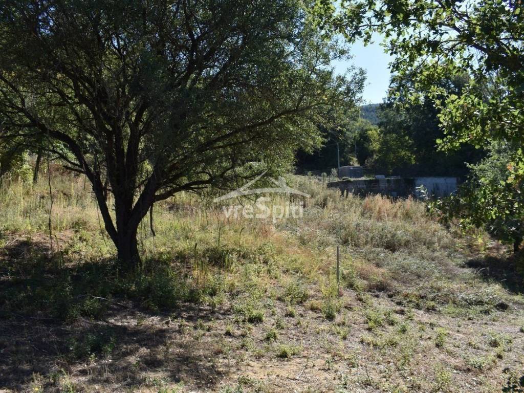 ΑΠΟΨΗ ΟΙΚΟΠΕΔΟΥ