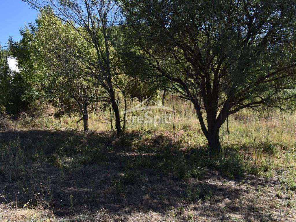 ΑΠΟΨΗ ΟΙΚΟΠΕΔΟΥ