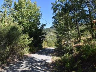 ΑΠΟΨΗ ΟΙΚΟΠΕΔΟΥ