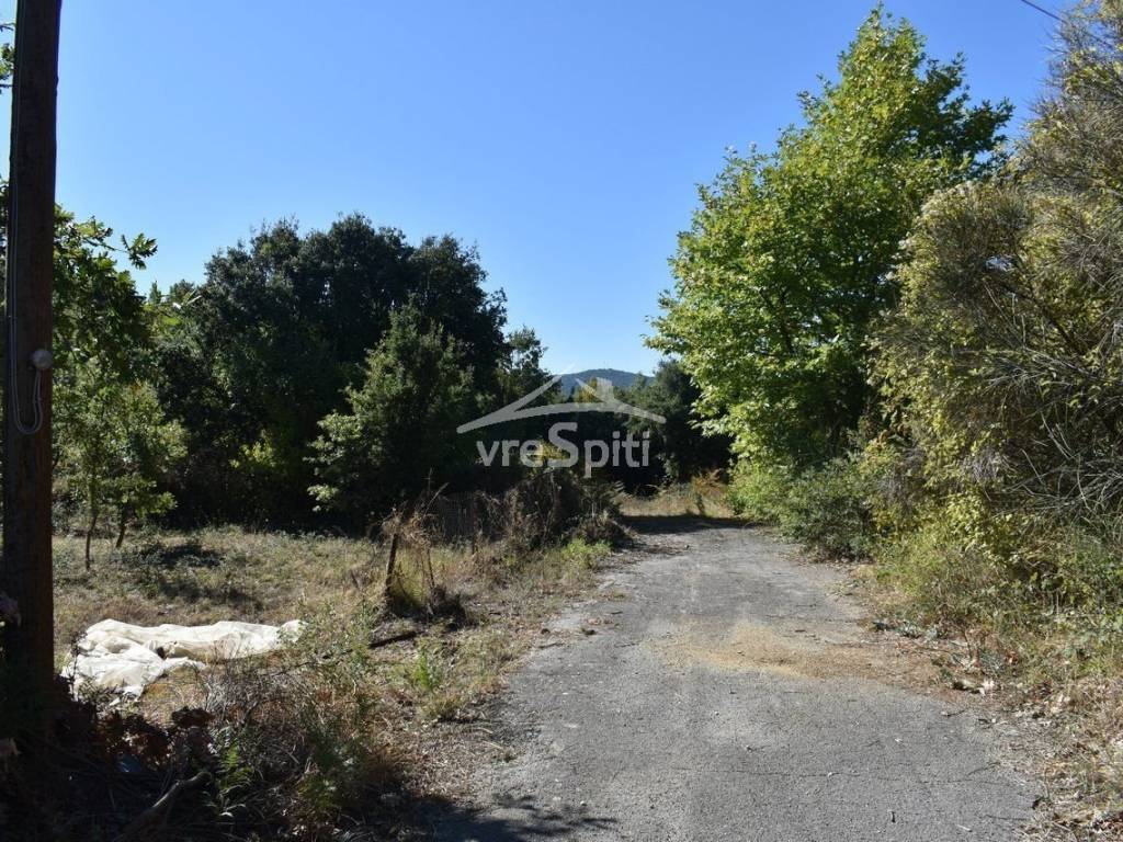 ΑΠΟΨΗ ΟΙΚΟΠΕΔΟΥ