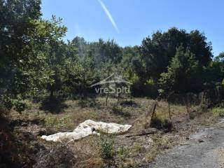 ΑΠΟΨΗ ΟΙΚΟΠΕΔΟΥ