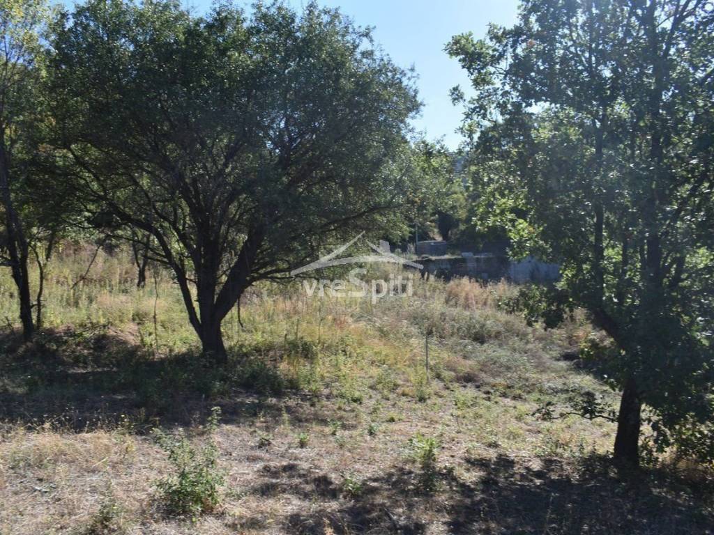 ΑΠΟΨΗ ΟΙΚΟΠΕΔΟΥ