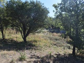 ΑΠΟΨΗ ΟΙΚΟΠΕΔΟΥ