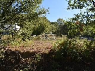 ΑΠΟΨΗ ΟΙΚΟΠΕΔΟΥ