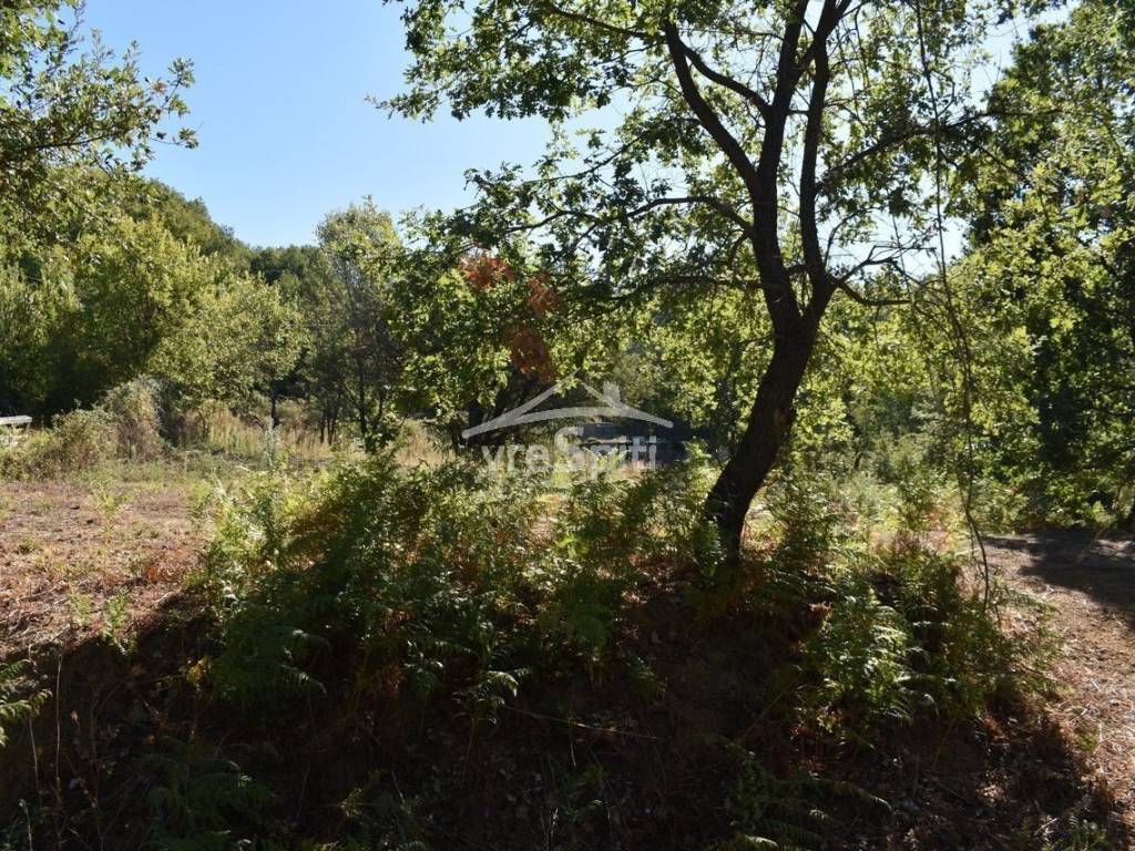 ΑΠΟΨΗ ΟΙΚΟΠΕΔΟΥ