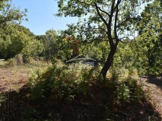 ΑΠΟΨΗ ΟΙΚΟΠΕΔΟΥ