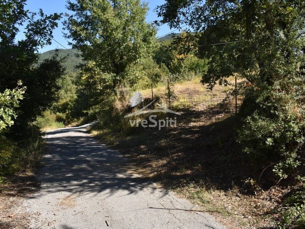 ΑΠΟΨΗ ΟΙΚΟΠΕΔΟΥ