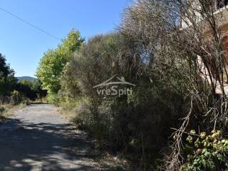 ΑΠΟΨΗ ΟΙΚΟΠΕΔΟΥ