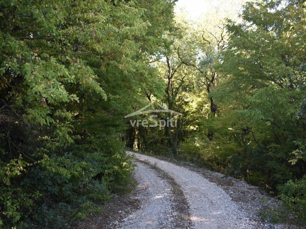 ΑΠΟΨΗ ΠΕΡΙΟΧΗΣ