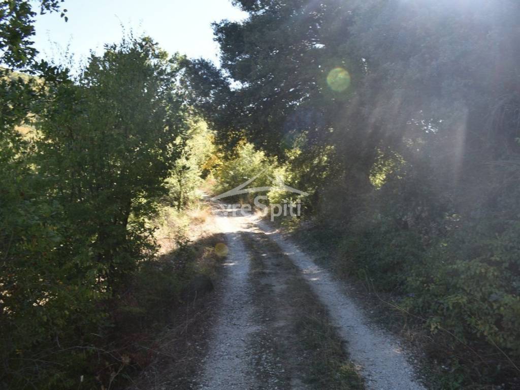 ΑΠΟΨΗ ΠΕΡΙΟΧΗΣ