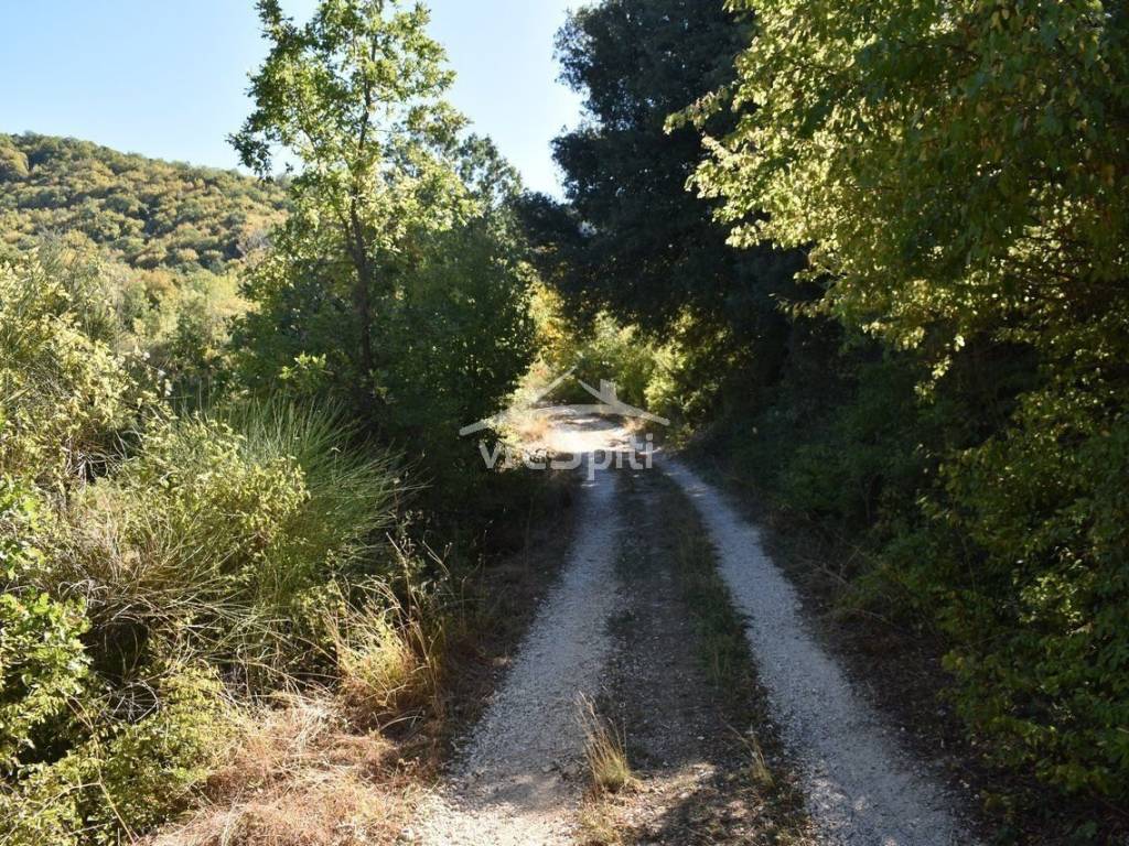 ΑΠΟΨΗ ΠΕΡΙΟΧΗΣ