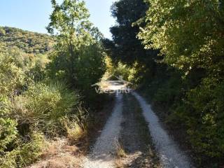 ΑΠΟΨΗ ΠΕΡΙΟΧΗΣ