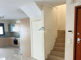 Σαλοκουζίνα