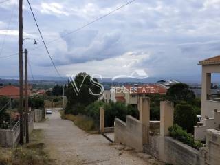 ΘΕΑ ΟΙΚΟΠΕΔΟΥ