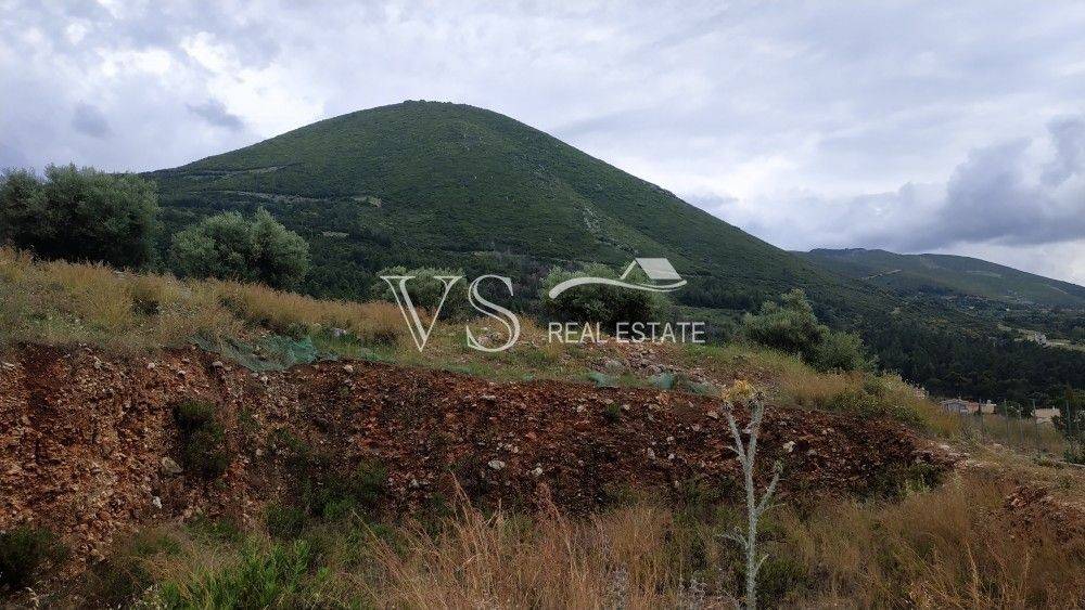 ΑΠΟΨΗ ΟΙΚΟΠΕΔΟΥ