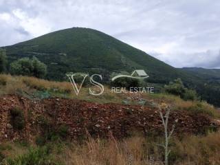 ΑΠΟΨΗ ΟΙΚΟΠΕΔΟΥ