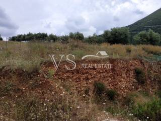 ΑΠΟΨΗ ΟΙΚΟΠΕΔΟΥ