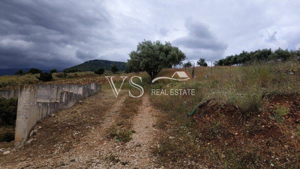 ΑΠΟΨΗ ΟΙΚΟΠΕΔΟΥ