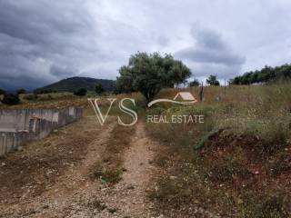 ΑΠΟΨΗ ΟΙΚΟΠΕΔΟΥ