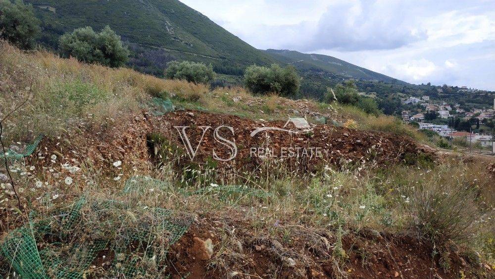 ΑΠΟΨΗ ΟΙΚΟΠΕΔΟΥ