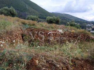 ΑΠΟΨΗ ΟΙΚΟΠΕΔΟΥ