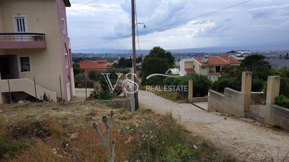 ΑΠΟΨΗ ΟΙΚΟΠΕΔΟΥ