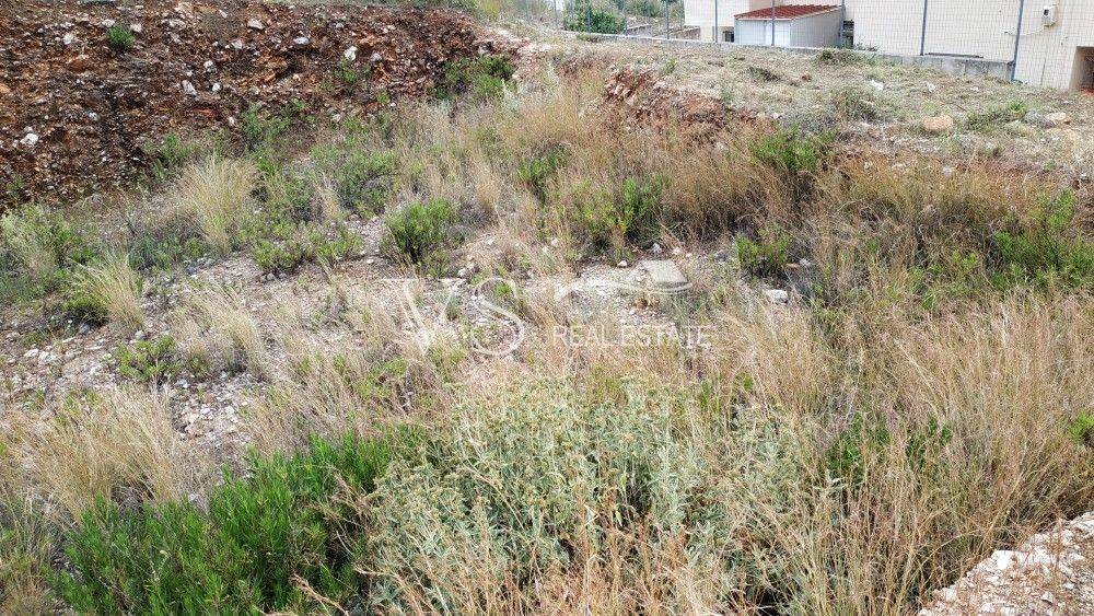 ΑΠΟΨΗ ΟΙΚΟΠΕΔΟΥ