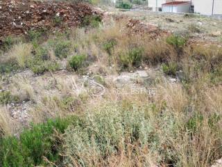 ΑΠΟΨΗ ΟΙΚΟΠΕΔΟΥ