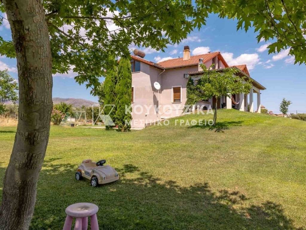 Εξωτερικός χώρος