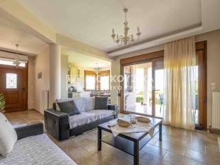 Σαλοκουζίνα