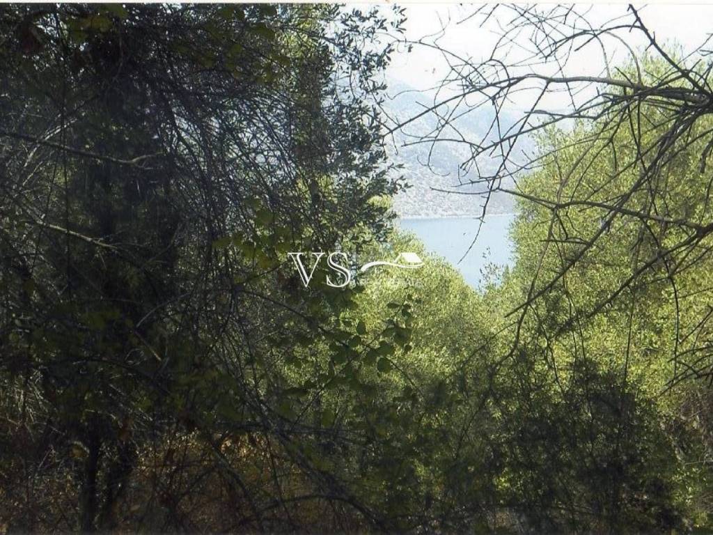 θέα από το αγροτεμάχιο