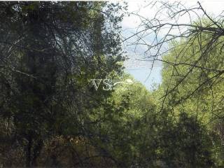 θέα από το αγροτεμάχιο