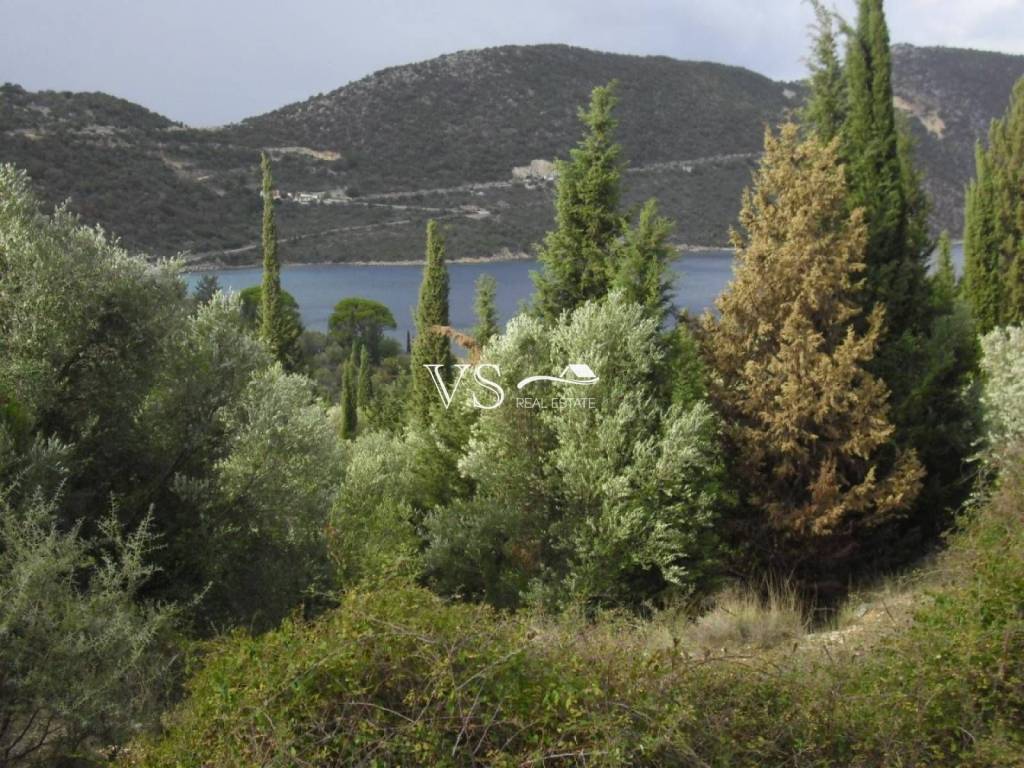 θέα απο το αγροτεμάχιο