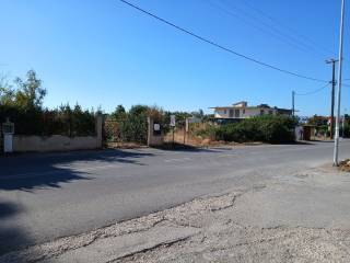 PROSOPSE STEN P.E.O.A.K.