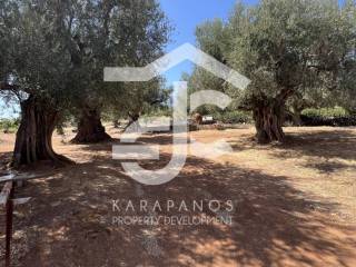 Ύπαρξη ανθρώπου