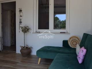 ΑΠΟΨΗ ΚΑΘΙΣΤΙΚΟΥ