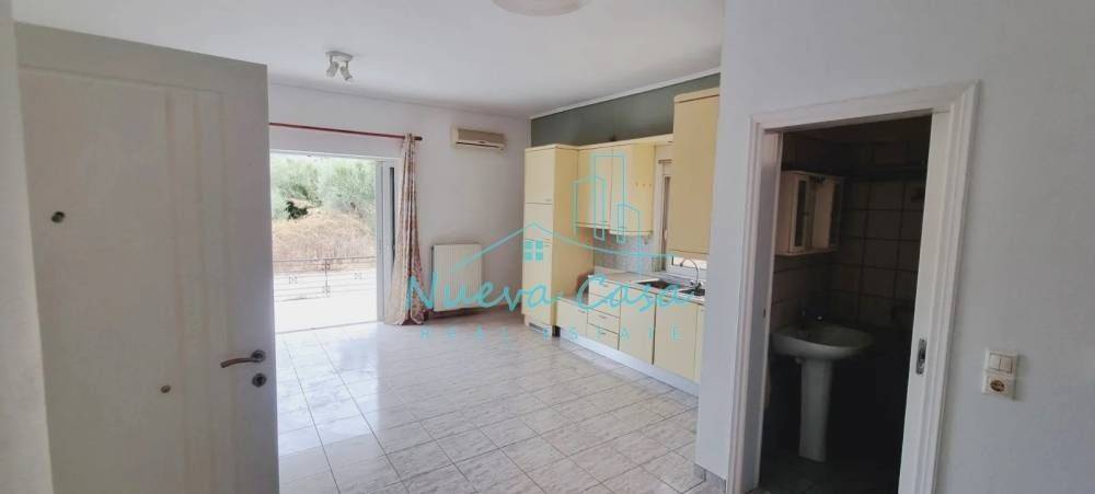 Σαλοκουζίνα