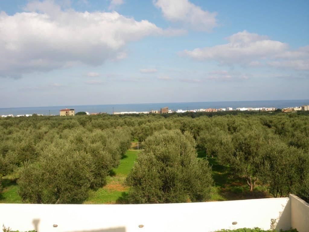 Detached - Grekodom 23718|963088