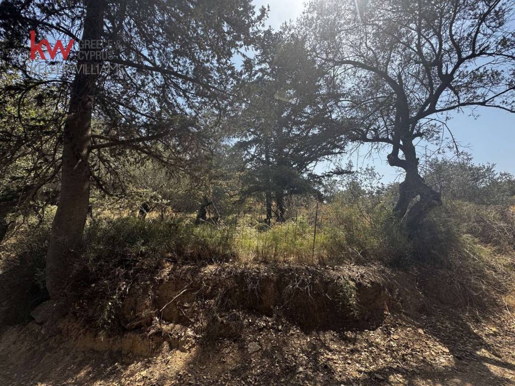 Εξωτερικοι χώροι