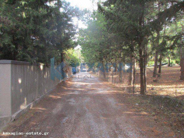 ΕΞΩΤΕΡΙΚΗ ΛΗΨΗ