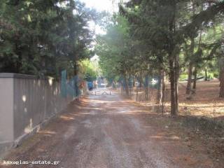 ΕΞΩΤΕΡΙΚΗ ΛΗΨΗ