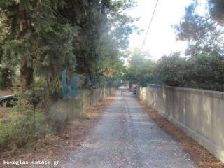 ΕΞΩΤΕΡΙΚΗ ΛΗΨΗ