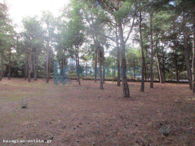 ΕΞΩΤΕΡΙΚΗ ΛΗΨΗ