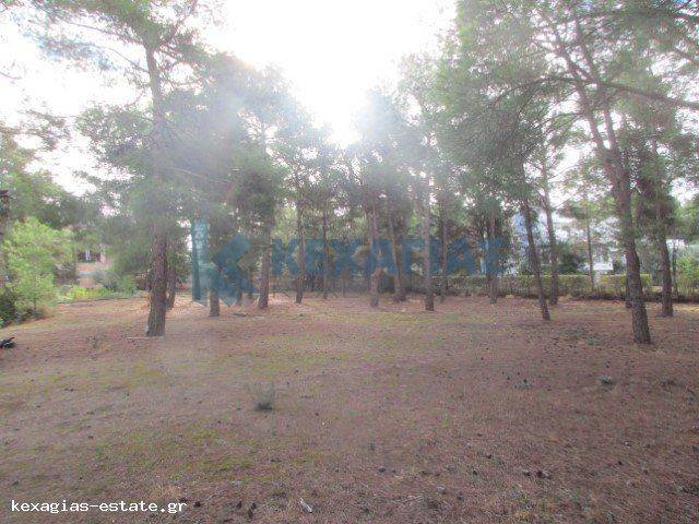 ΕΞΩΤΕΡΙΚΗ ΛΗΨΗ