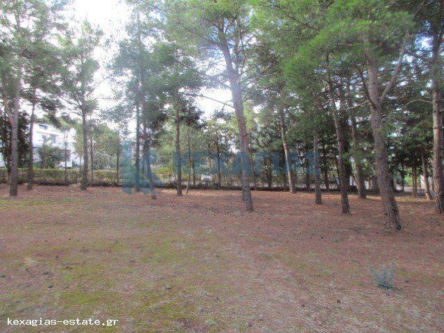 ΕΞΩΤΕΡΙΚΗ ΛΗΨΗ