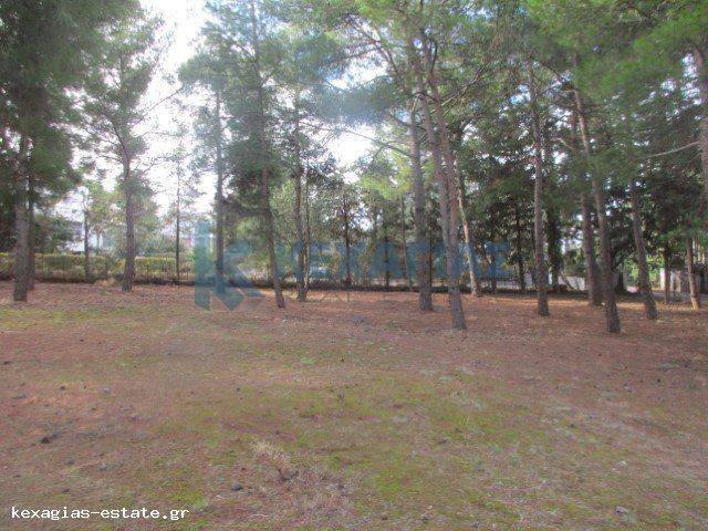 ΕΞΩΤΕΡΙΚΗ ΛΗΨΗ