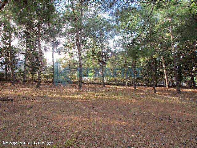 ΕΞΩΤΕΡΙΚΗ ΛΗΨΗ