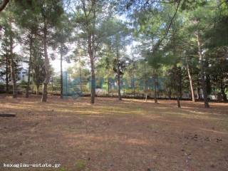 ΕΞΩΤΕΡΙΚΗ ΛΗΨΗ