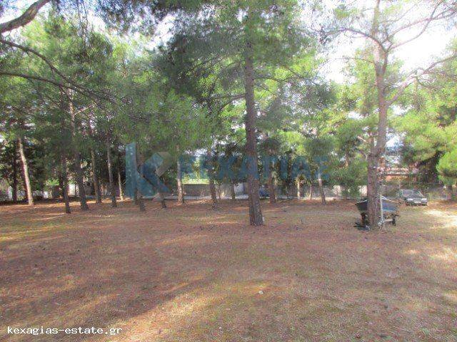 ΕΞΩΤΕΡΙΚΗ ΛΗΨΗ