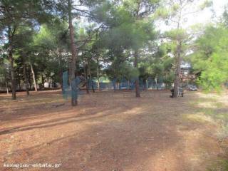 ΕΞΩΤΕΡΙΚΗ ΛΗΨΗ